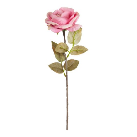 ROSA CORVETTE DARK PINK CM.50